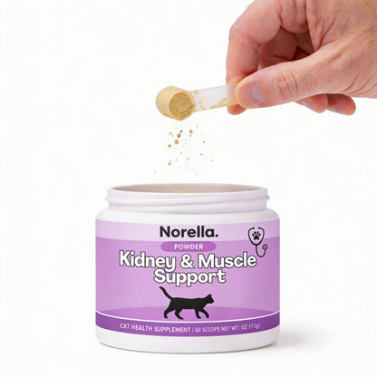 Kidney & Muscle Support for Cats