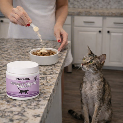 Kidney & Muscle Support for Cats