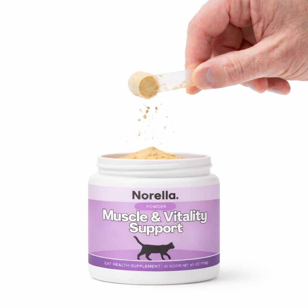 Muscle & Vitality Support for Cats