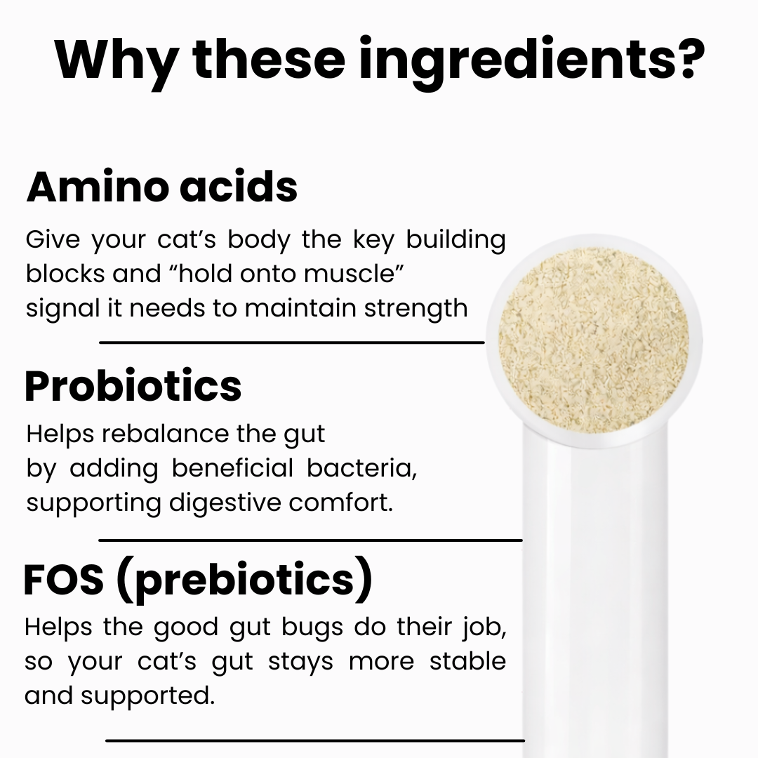 Kidney & Muscle Support for Cats