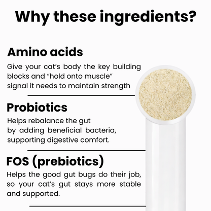 Kidney & Muscle Support for Cats