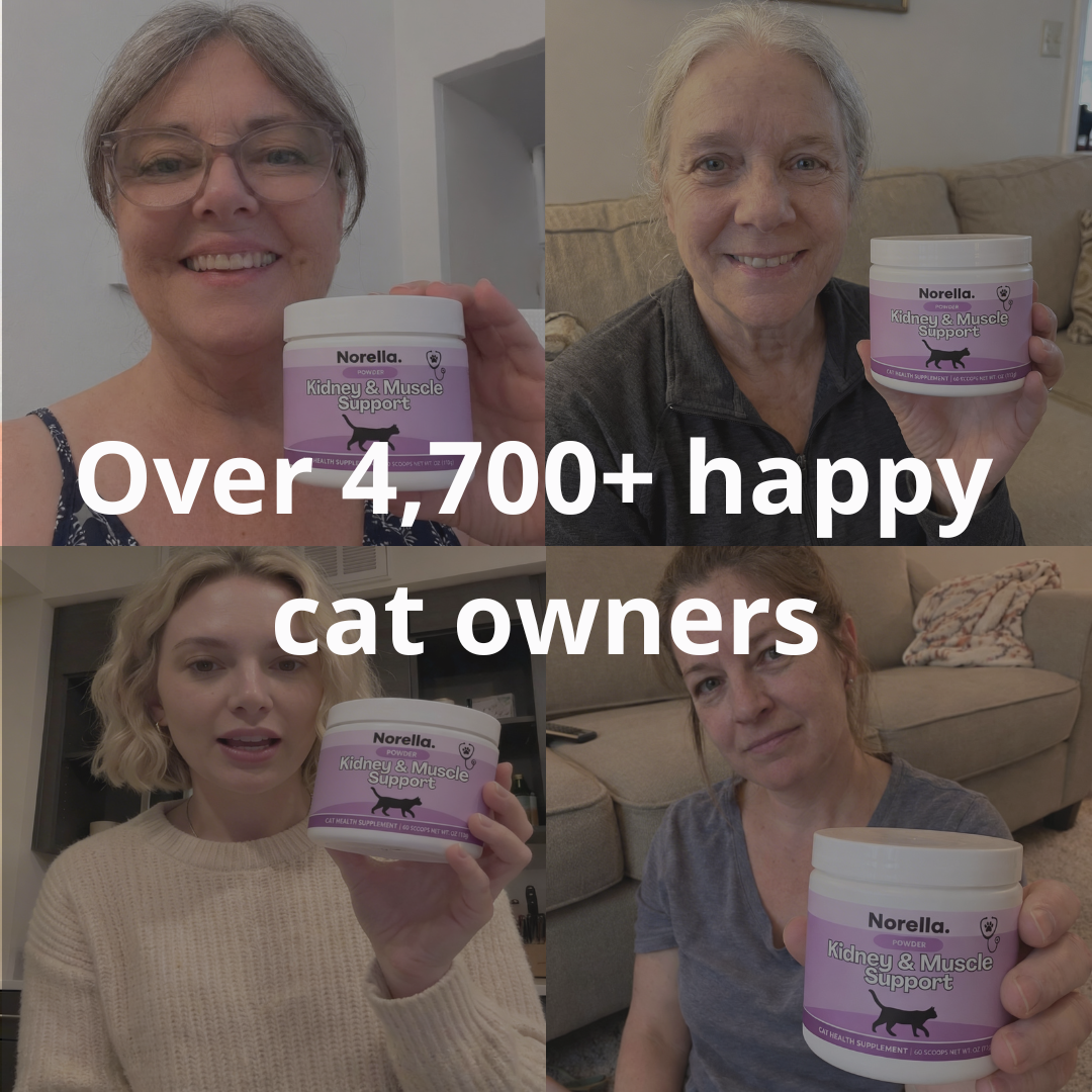Kidney & Muscle Support for Cats
